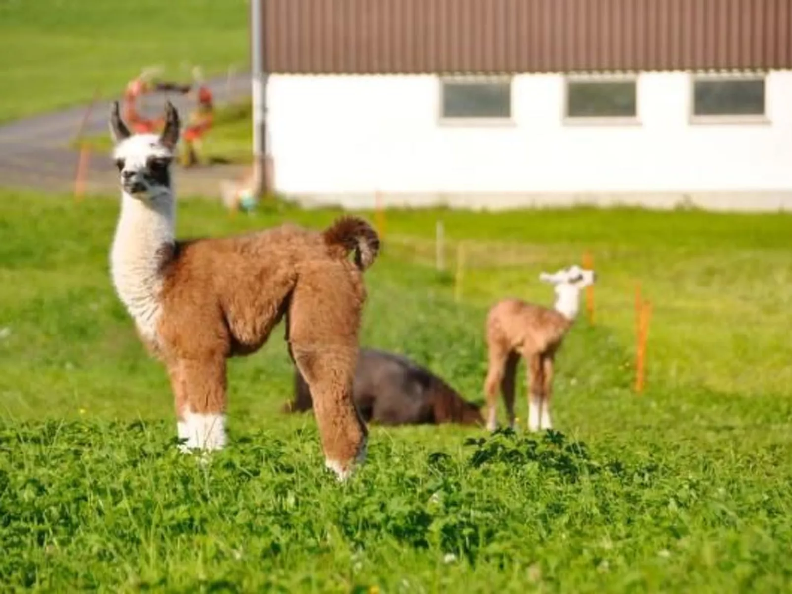 Chäserruggblick-Outside