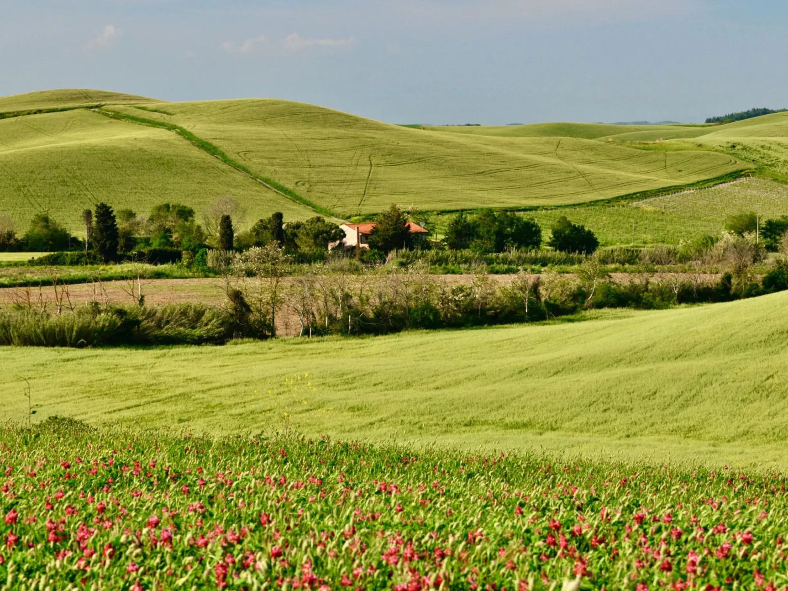 Ostoncino biodynamisch-Outside