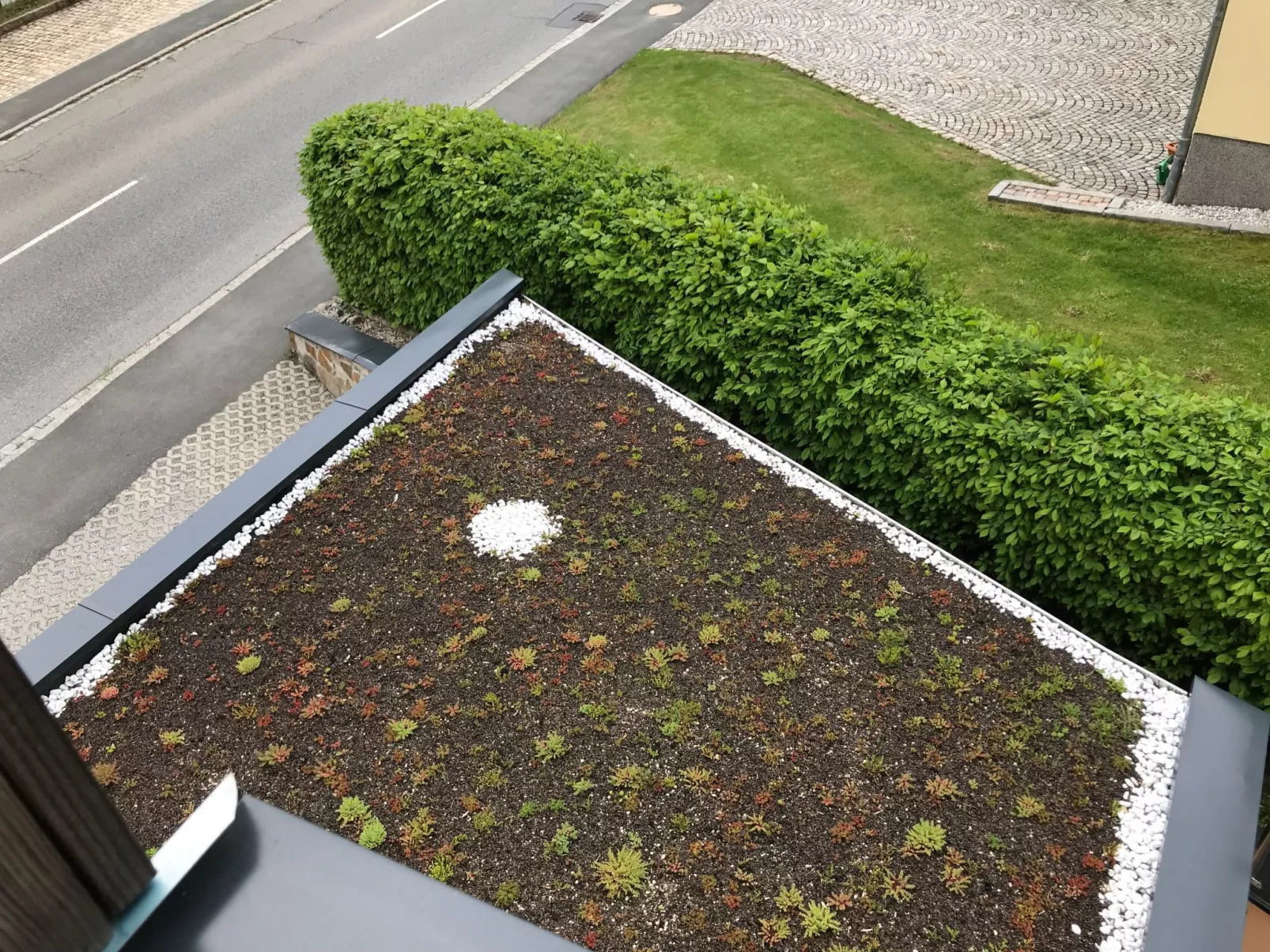 Schöne Ferienwohnung in Kurort Oberwiesenthal - Draußen