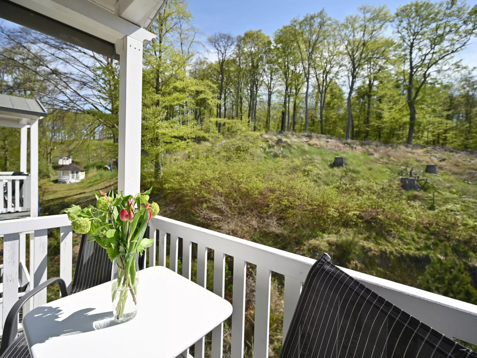 Villa Celia Sellin-Draußen