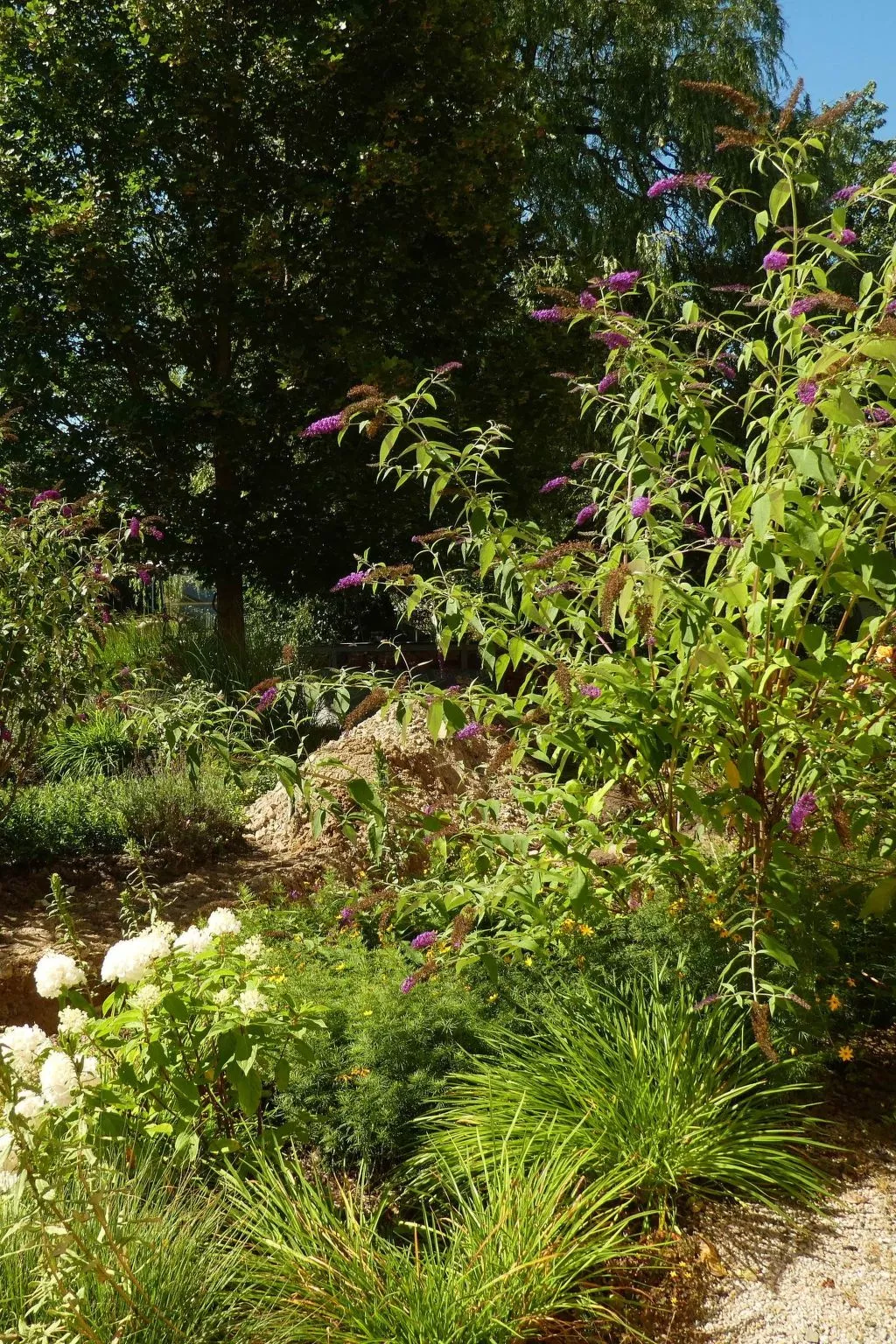 Urlaub Zirkuswagen-Image-tags.info