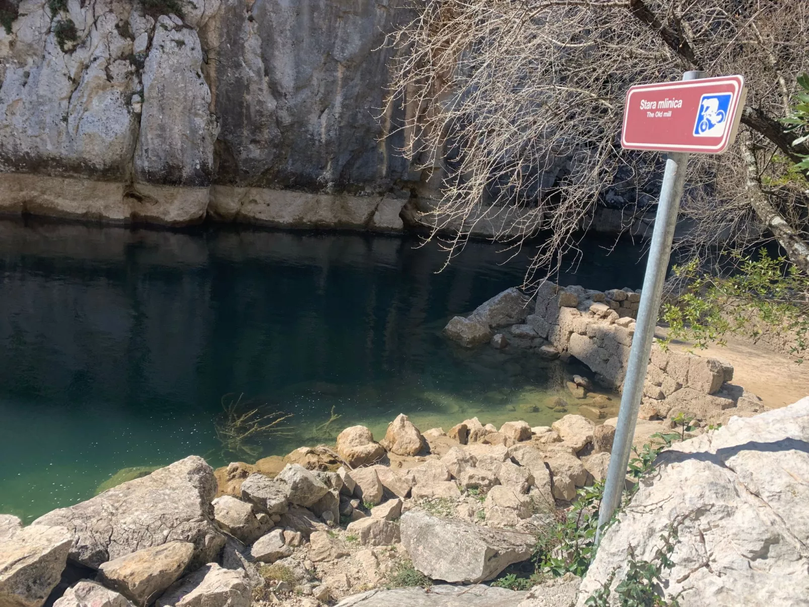 La Finca OliveTree-Outside