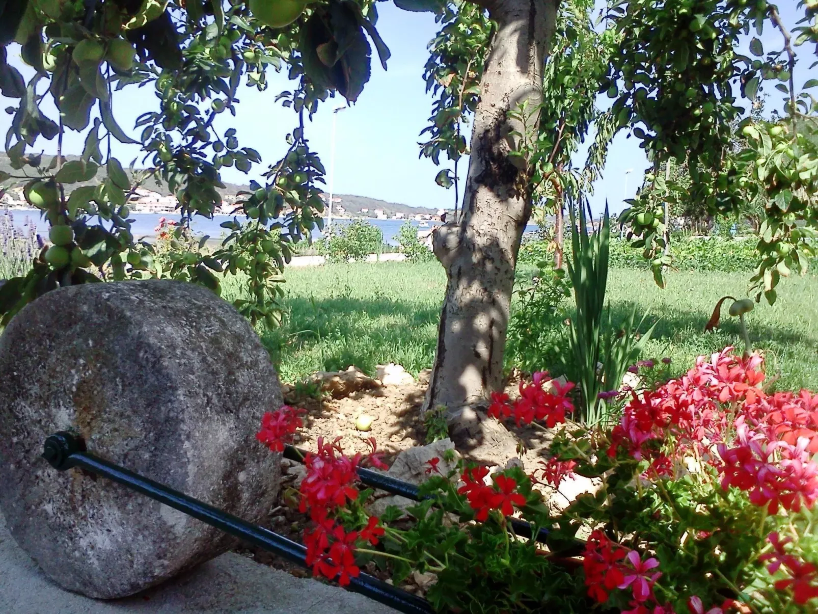Wohnung Marica mit Balkon und herrlichem Meerblick-Outside