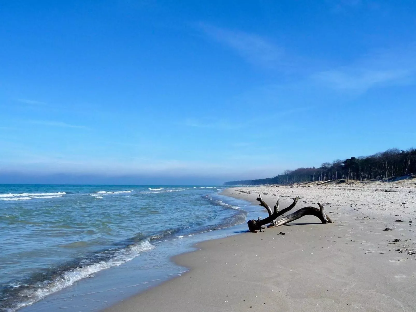 Wiesenblick 5-Image-tags.info