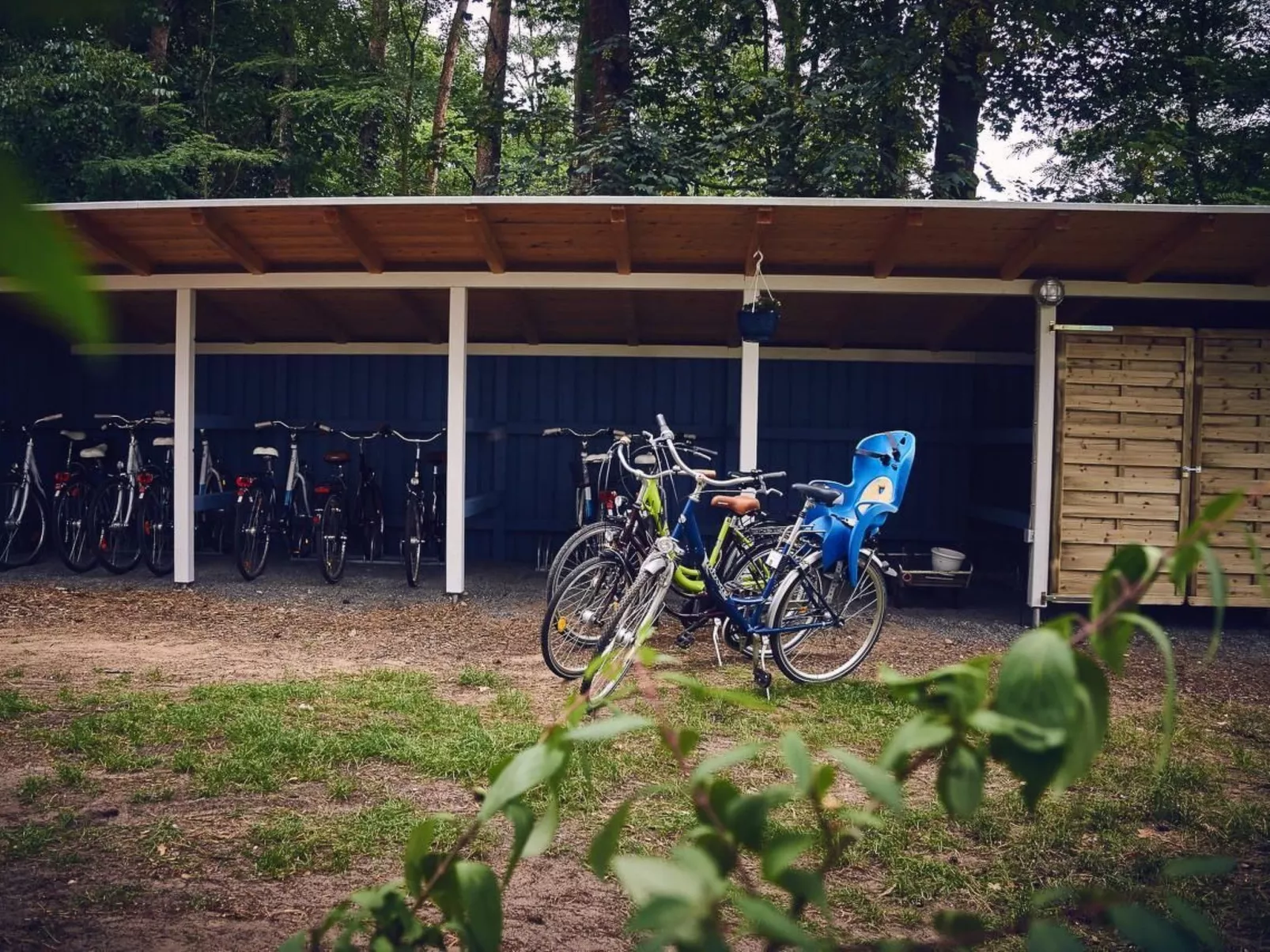 Waldhäuser-Draußen