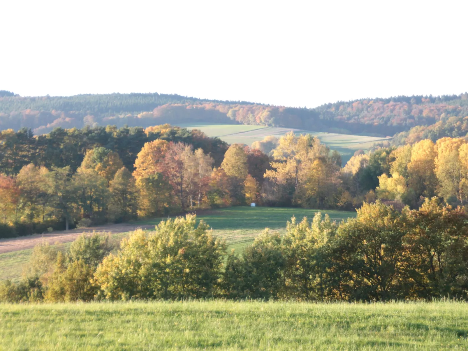 Haus Schmetterfly-Draußen