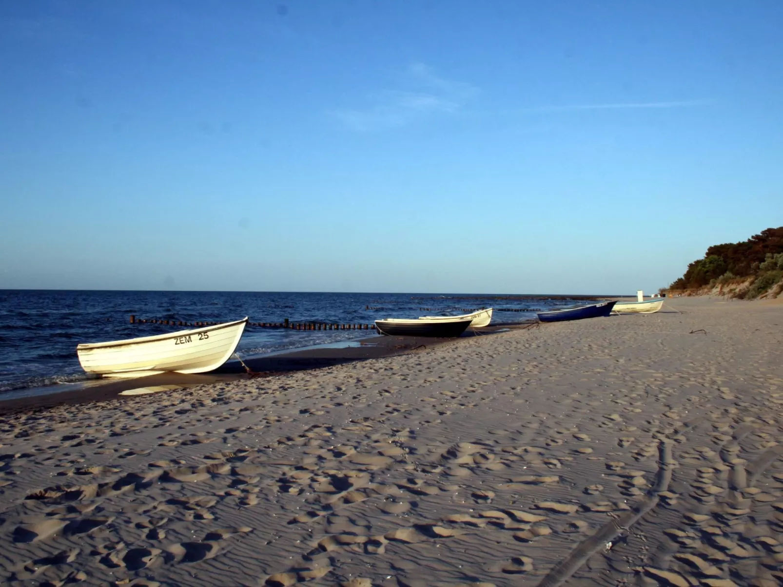 Fewo Waldblick EG-Outside