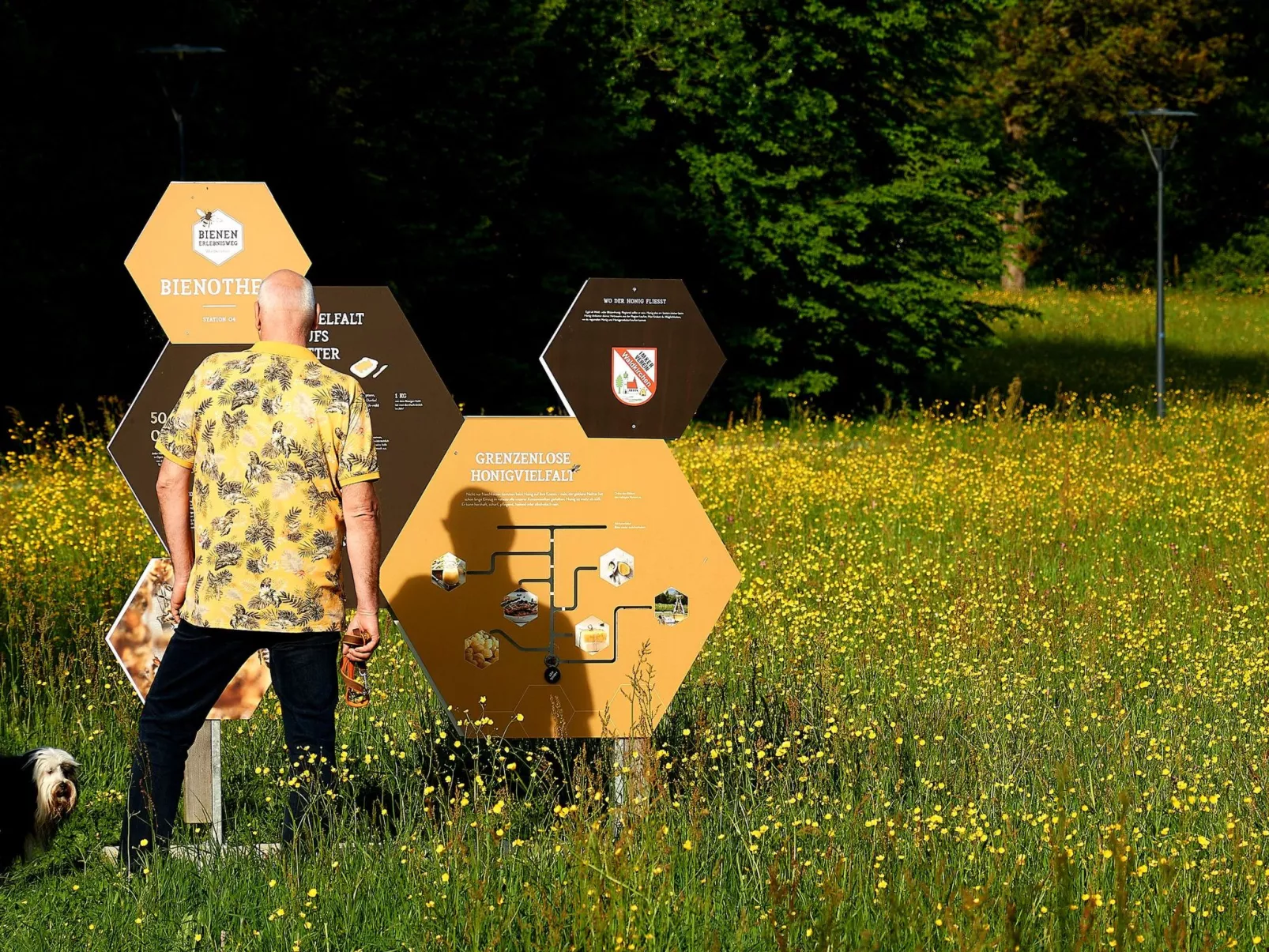 In Waldkirchen mit Garten und Seeblick-Outside