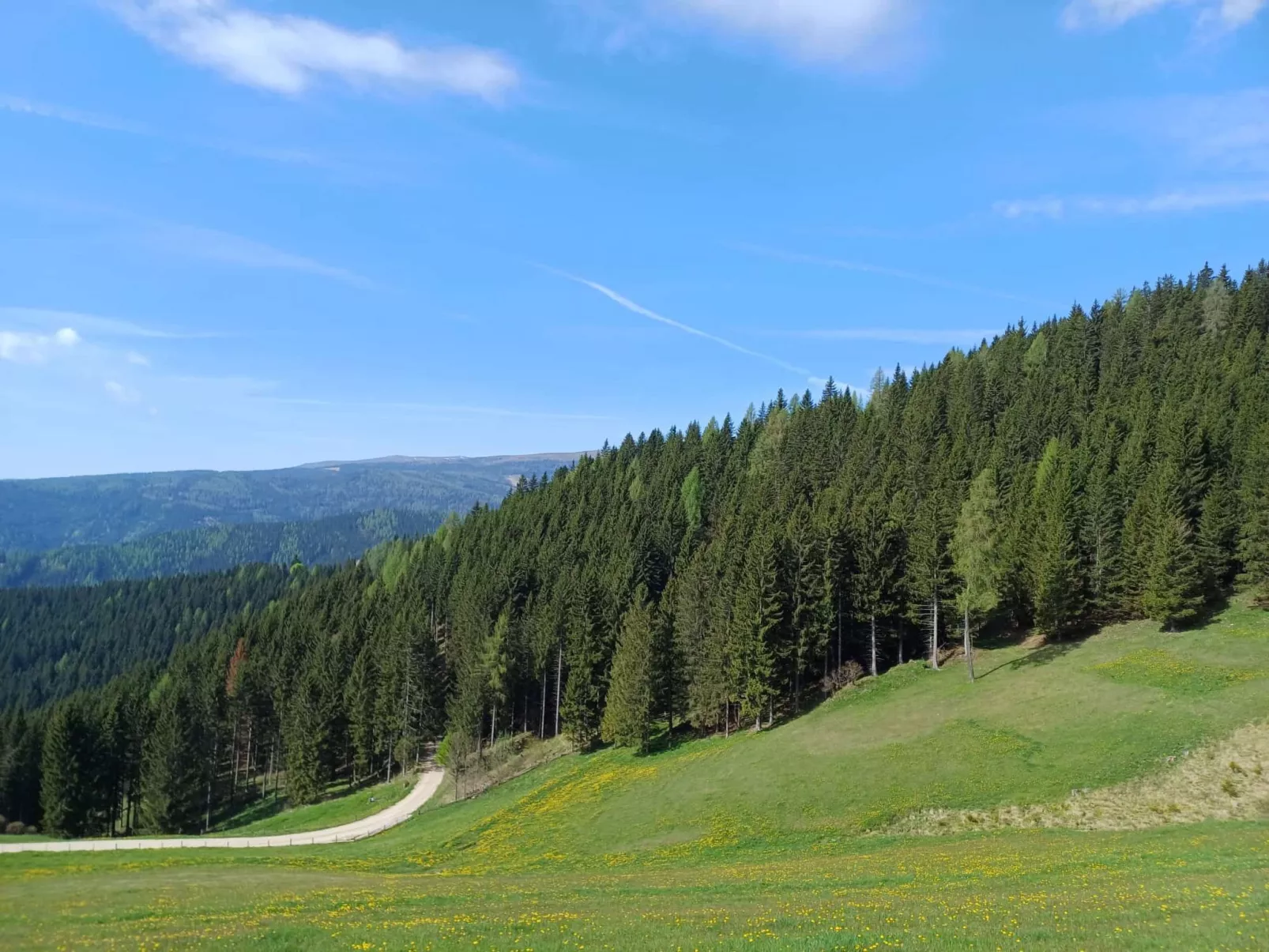 Gemütliche Almhütte direkt im Skigebiet-Outside