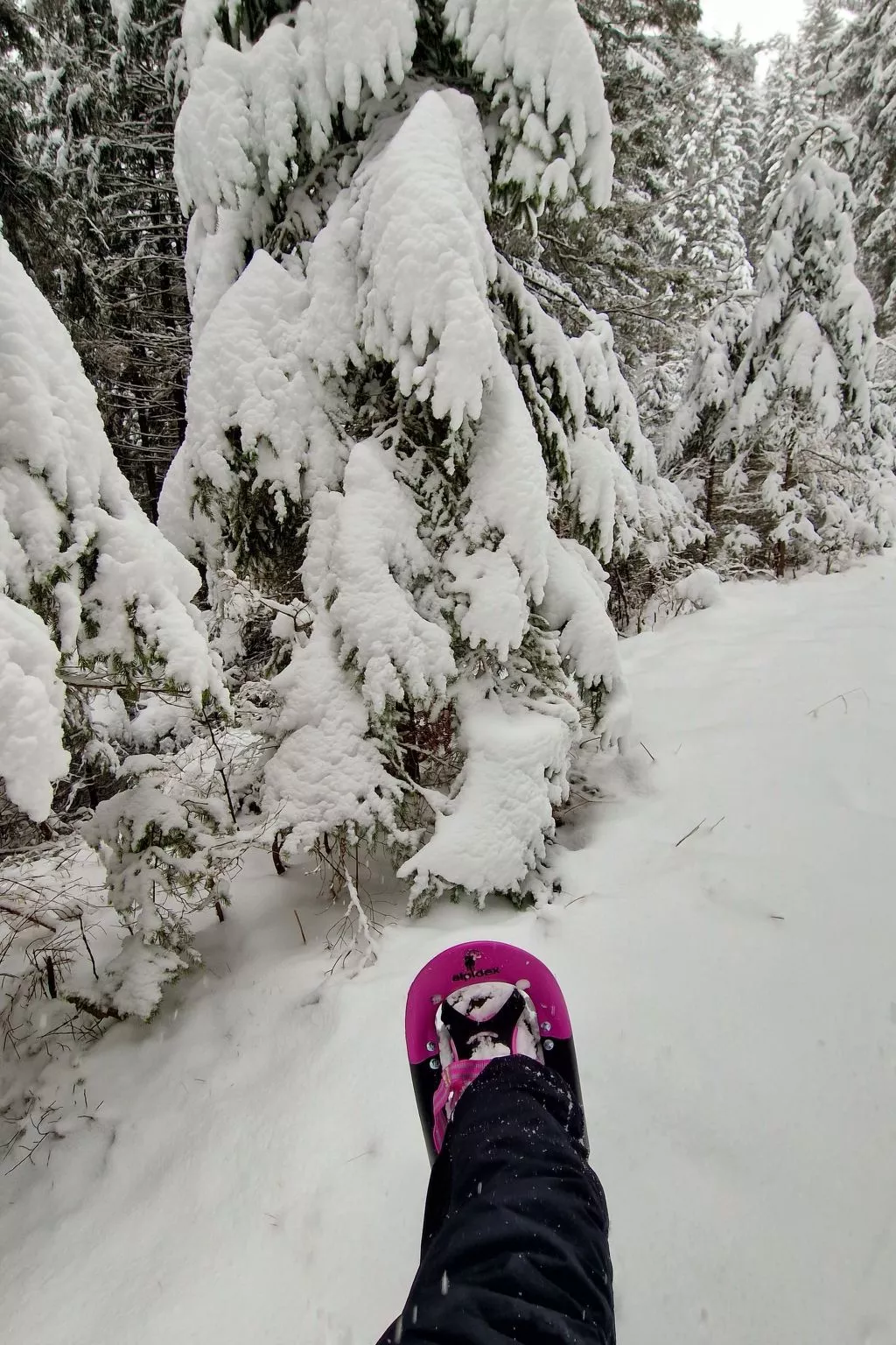 Knusperhäuschen Maria Nikolett in Wolfsberg-Outside