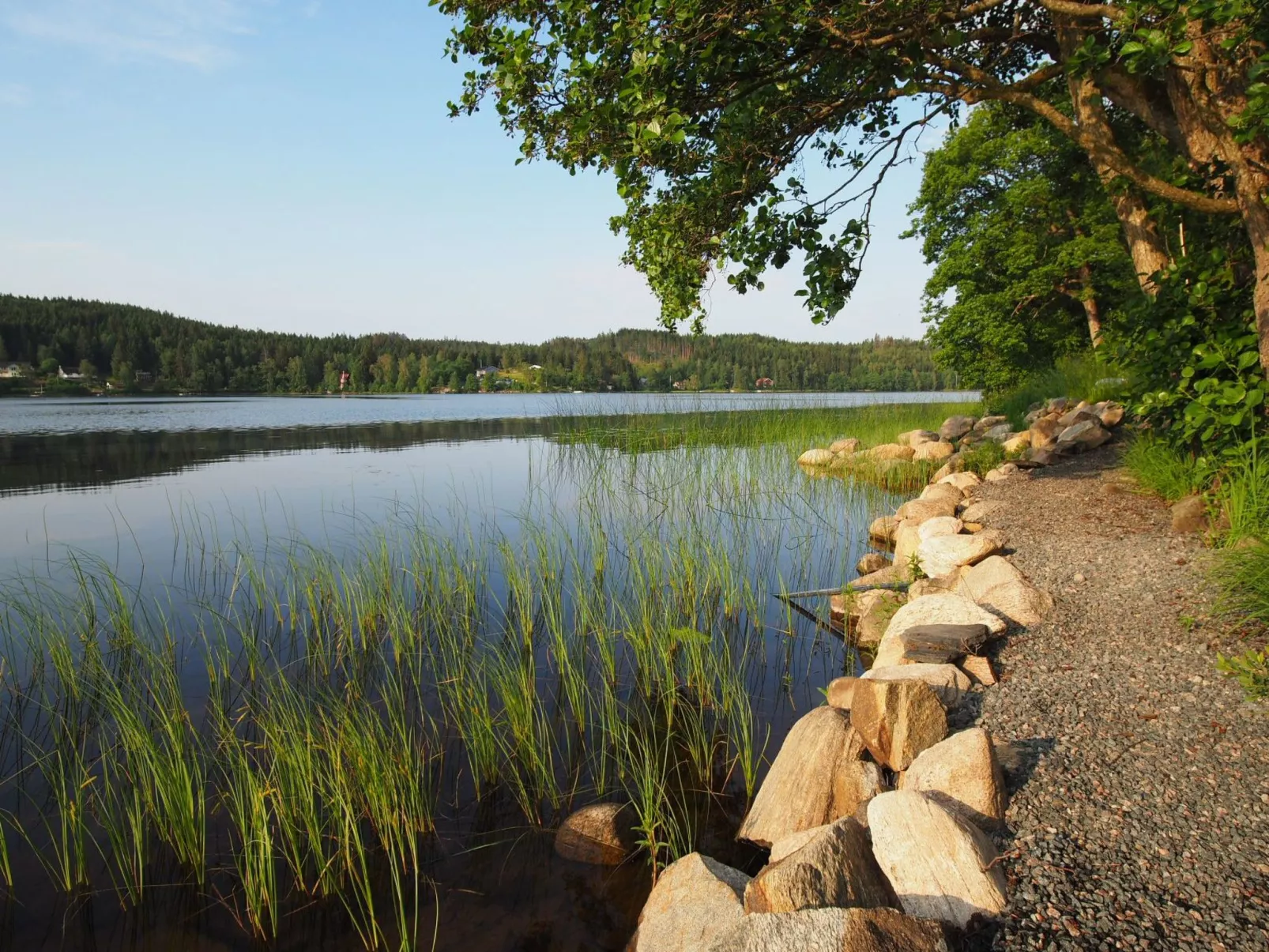 Schwedisches Glück, zwischen Wäldern und einem See-Outside