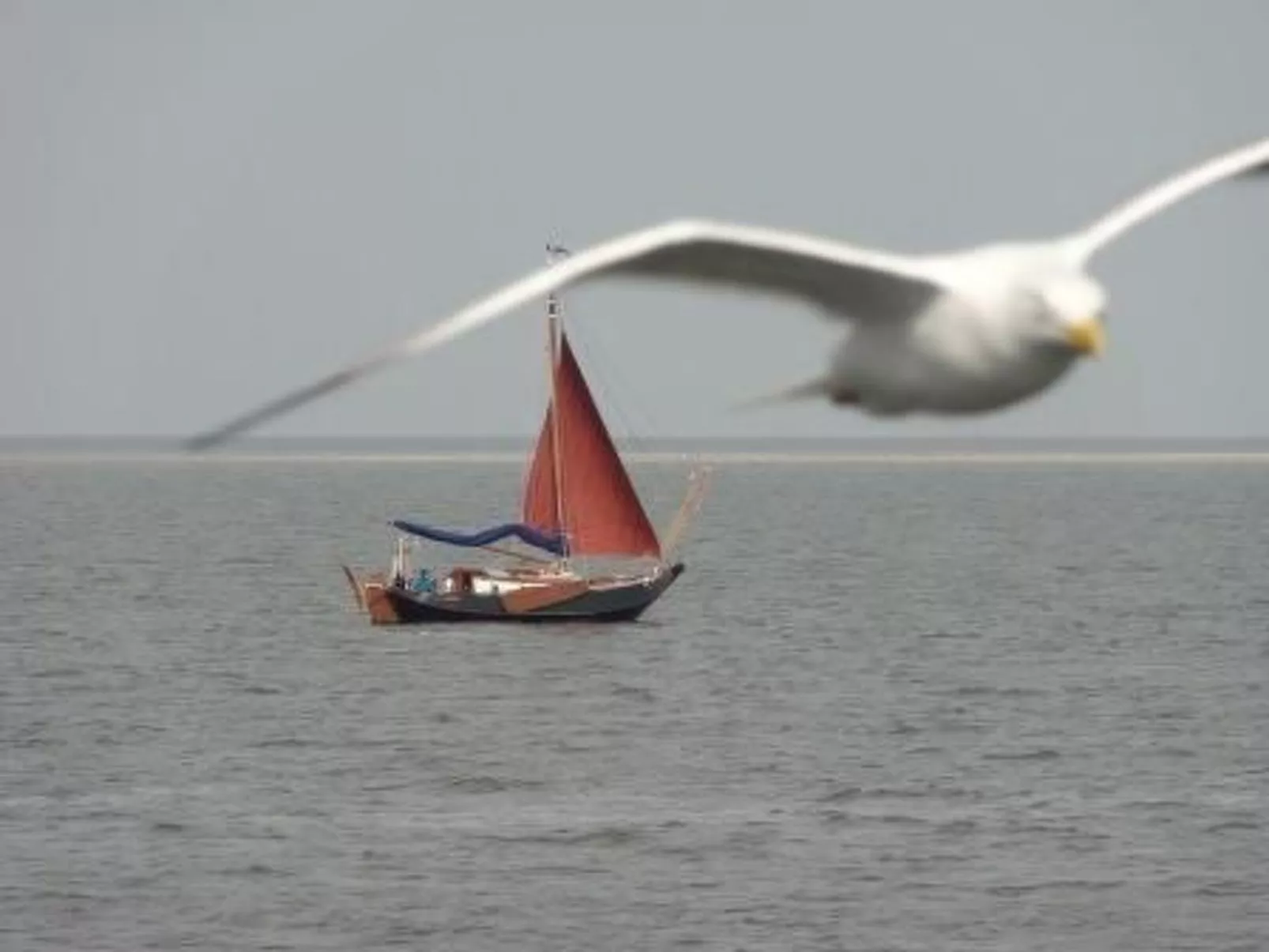 "Der Austernfischer"-Dehors