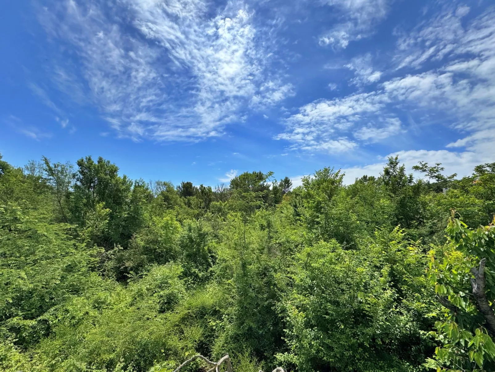 Apartment Nikolic-Outside