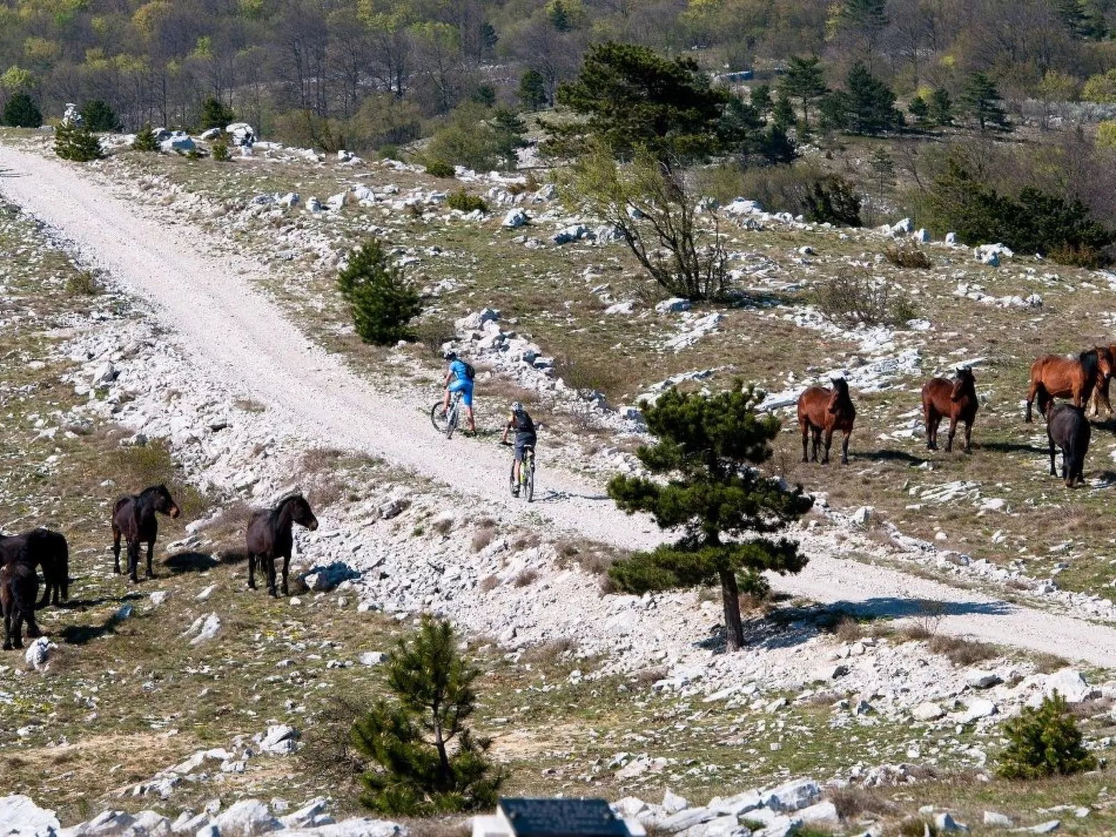 Mit Balkon und Terrasse-Draußen