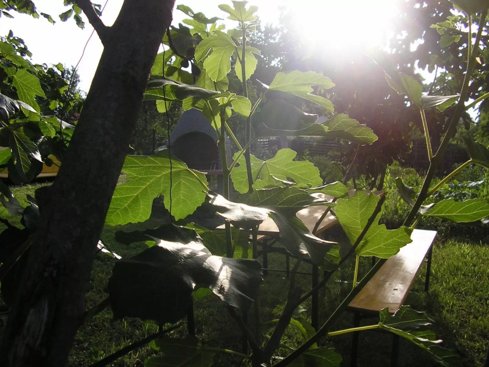 App Coki 3.-Draußen