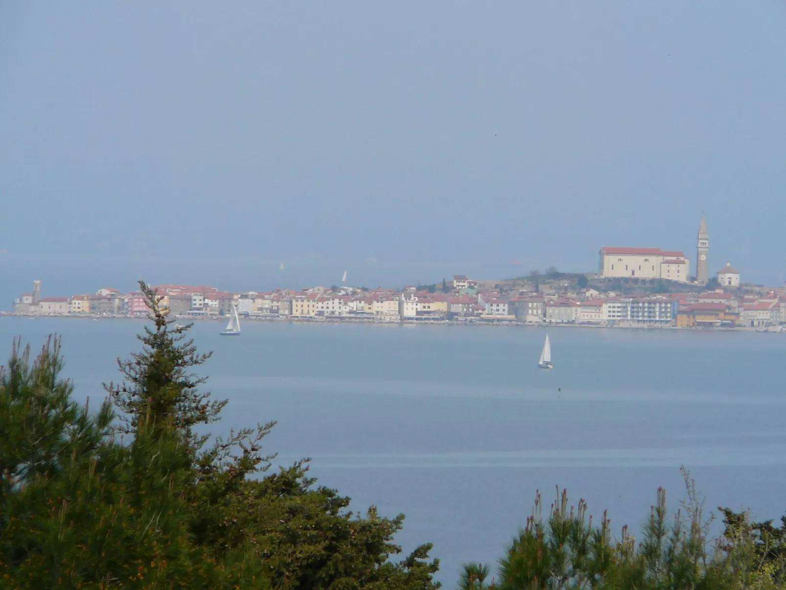 Villa del Golfo, Apartement mit Garten und Pool-Outside