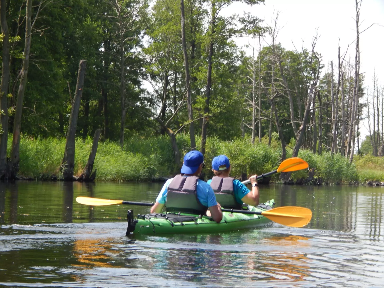 Klosterwald-Draußen