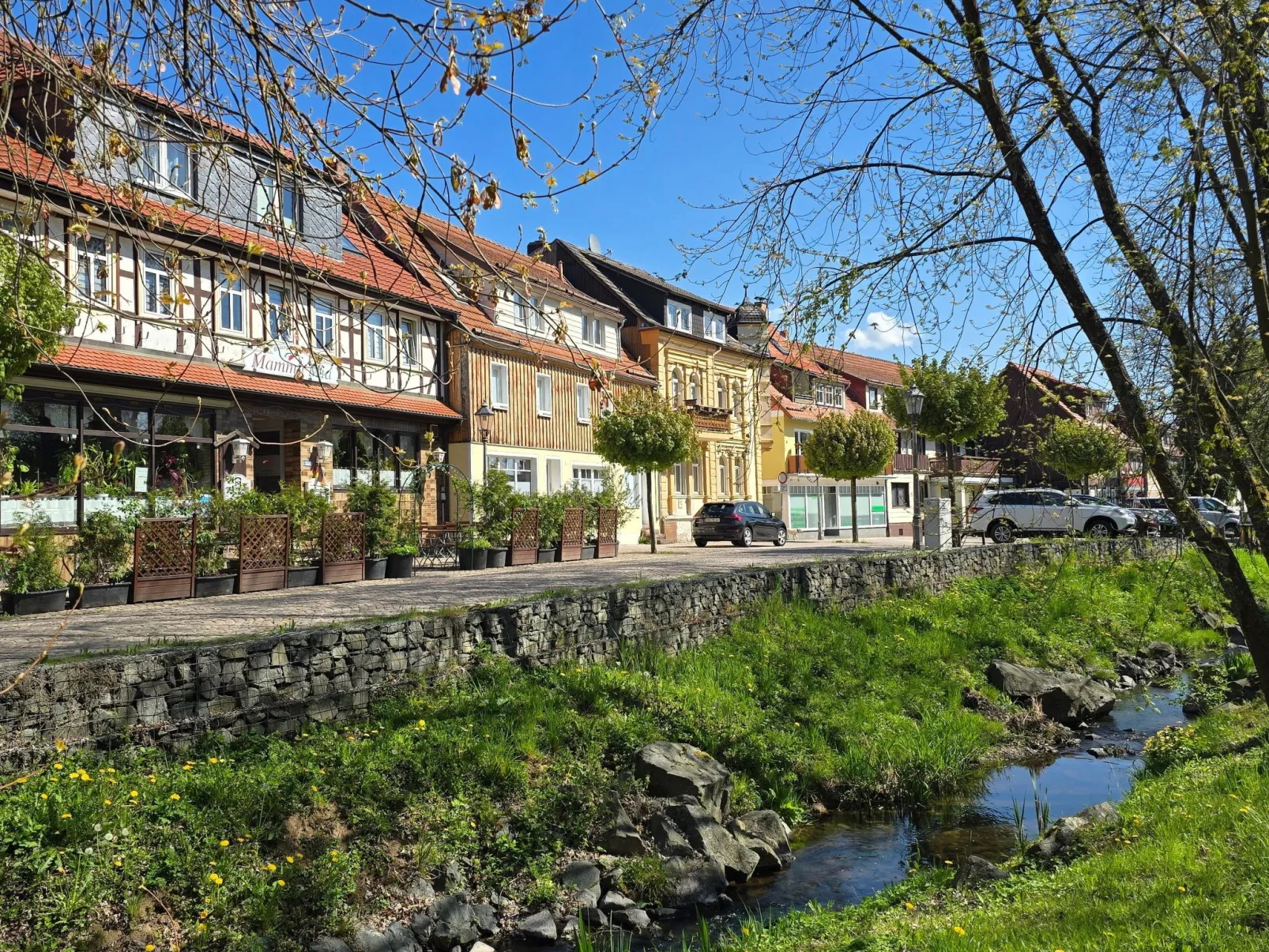 WALDLIEBE ♡-Dehors