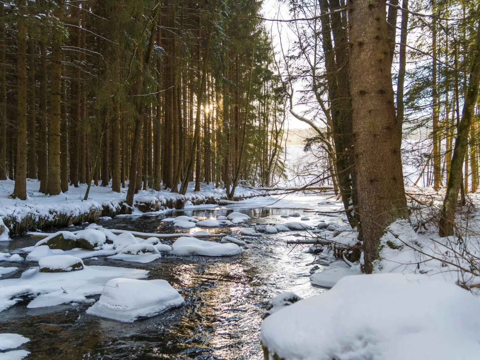 Chalet Försterei-Draußen