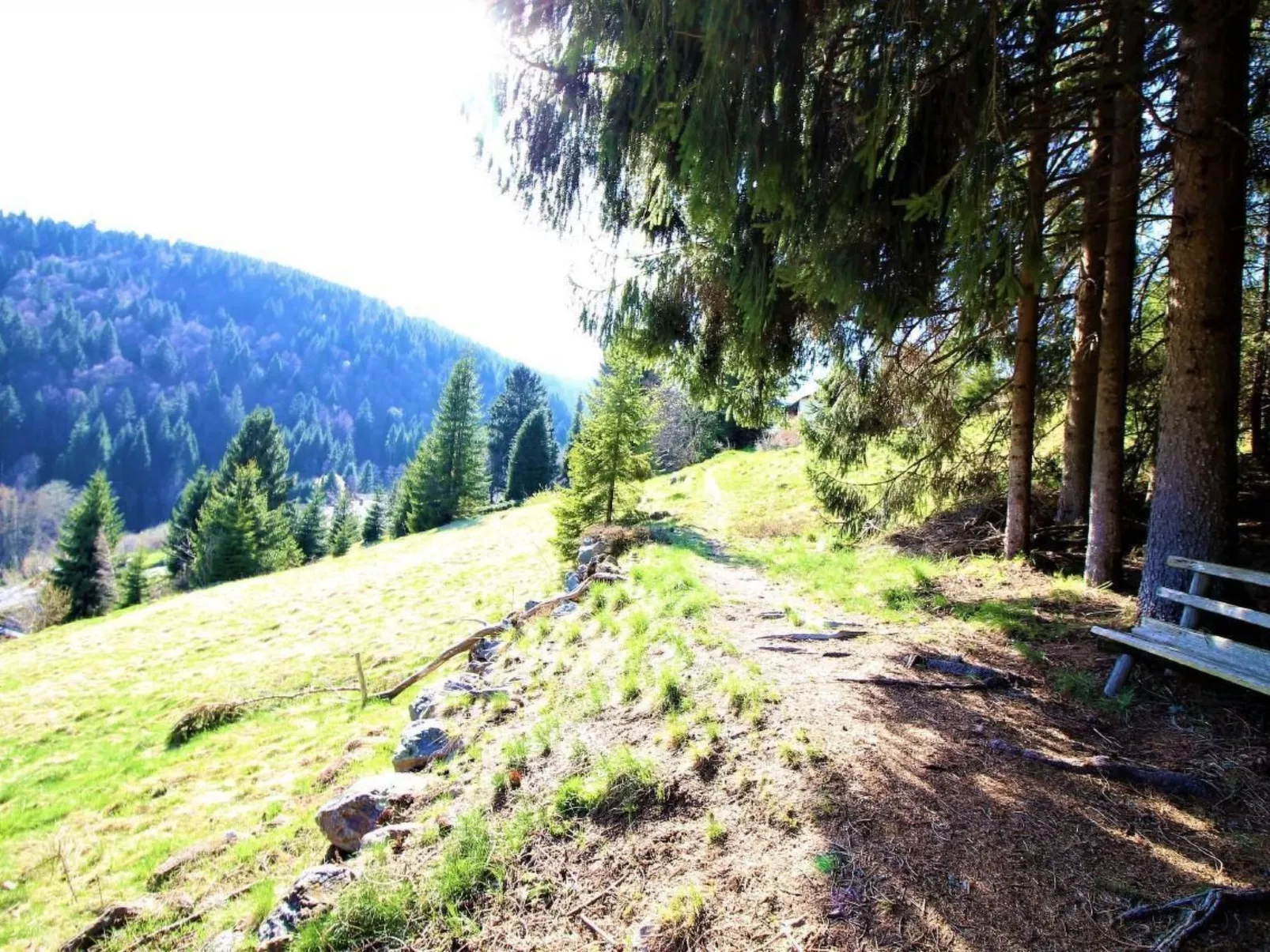 Kuschelnest Oase-Outside