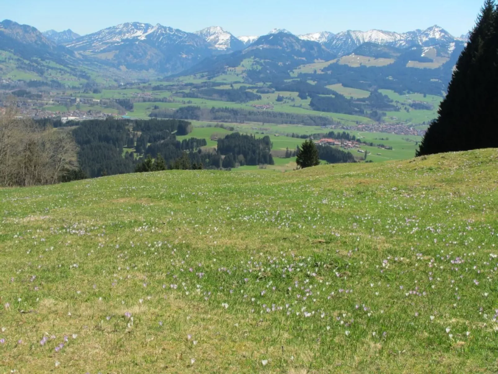 Mit Hallenbad-Outside