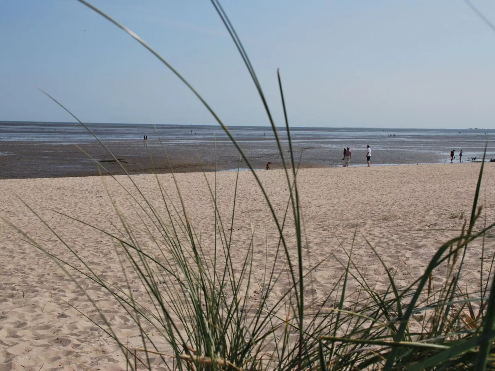 Landskron-Image-tags.info