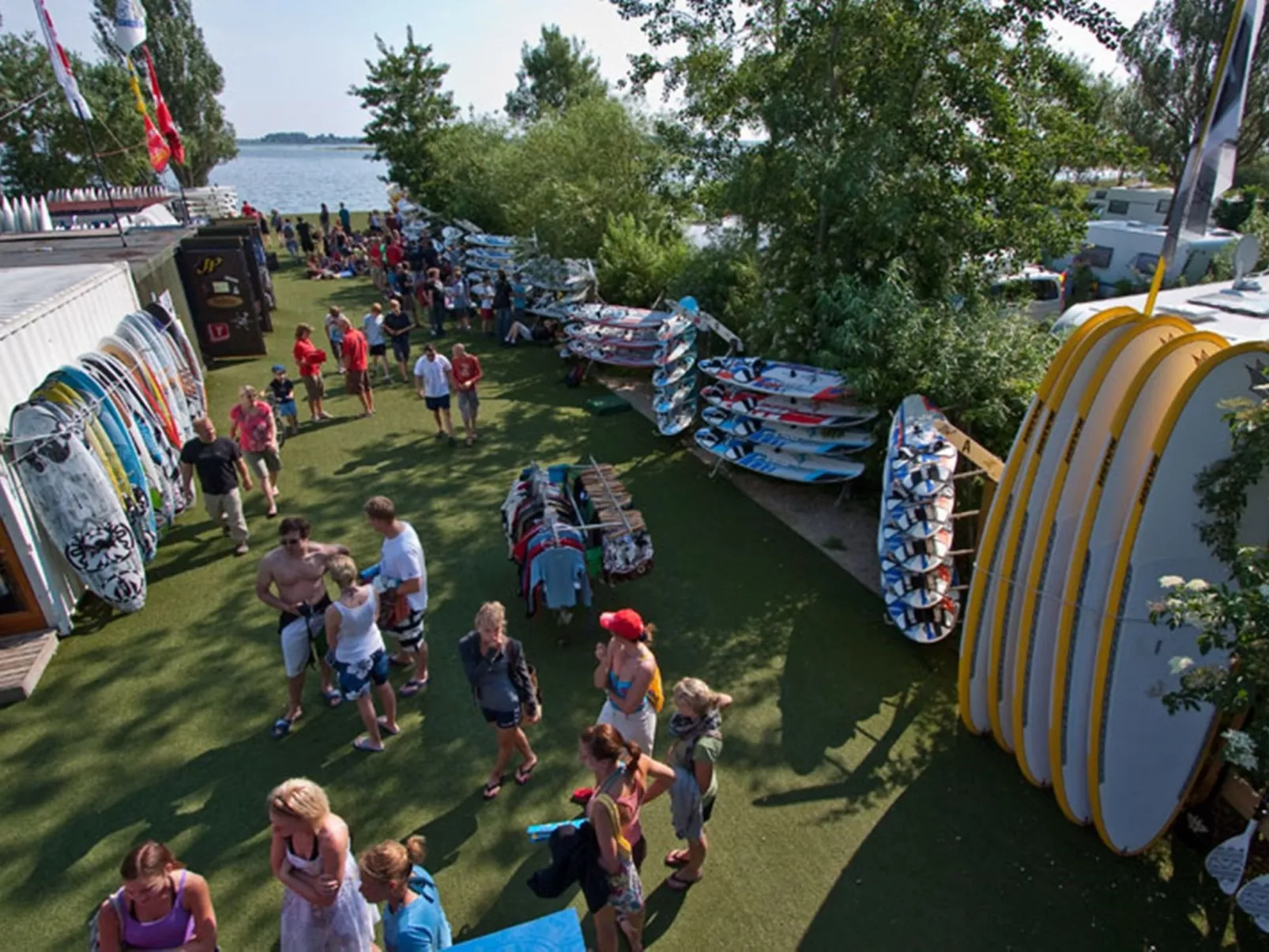 Zwergmöwe in Neue Tiefe-Draußen