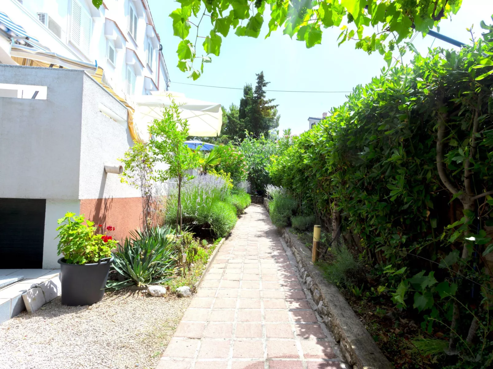 Studio "Buka Calm IV"-Draußen