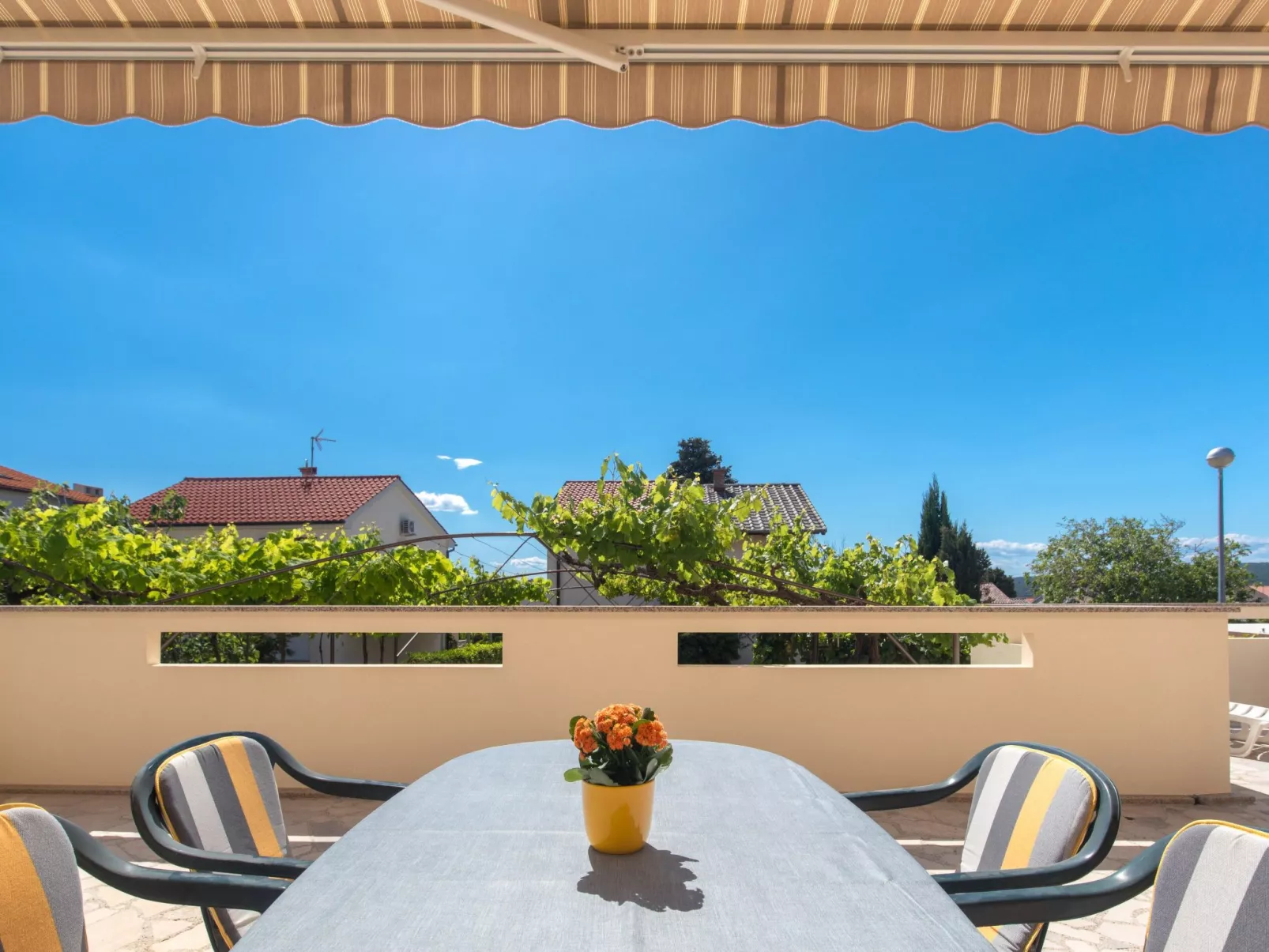 "Apartman Nikola"-Dehors