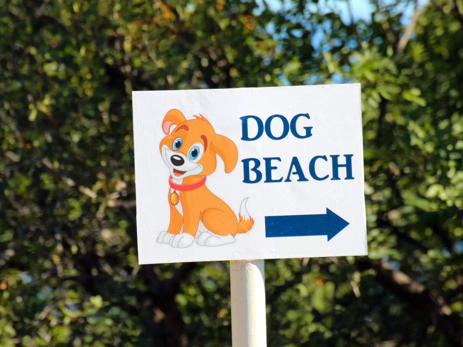 "Mihaljevic Tatjana"-Dehors