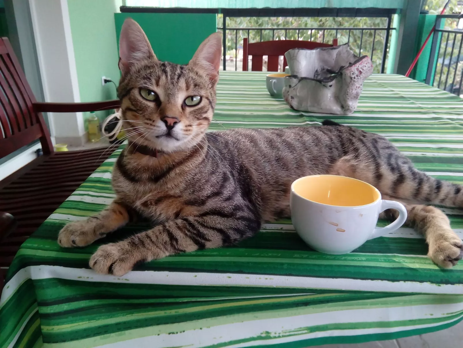 Erdgeschoss mit Schwimmbad-Dehors