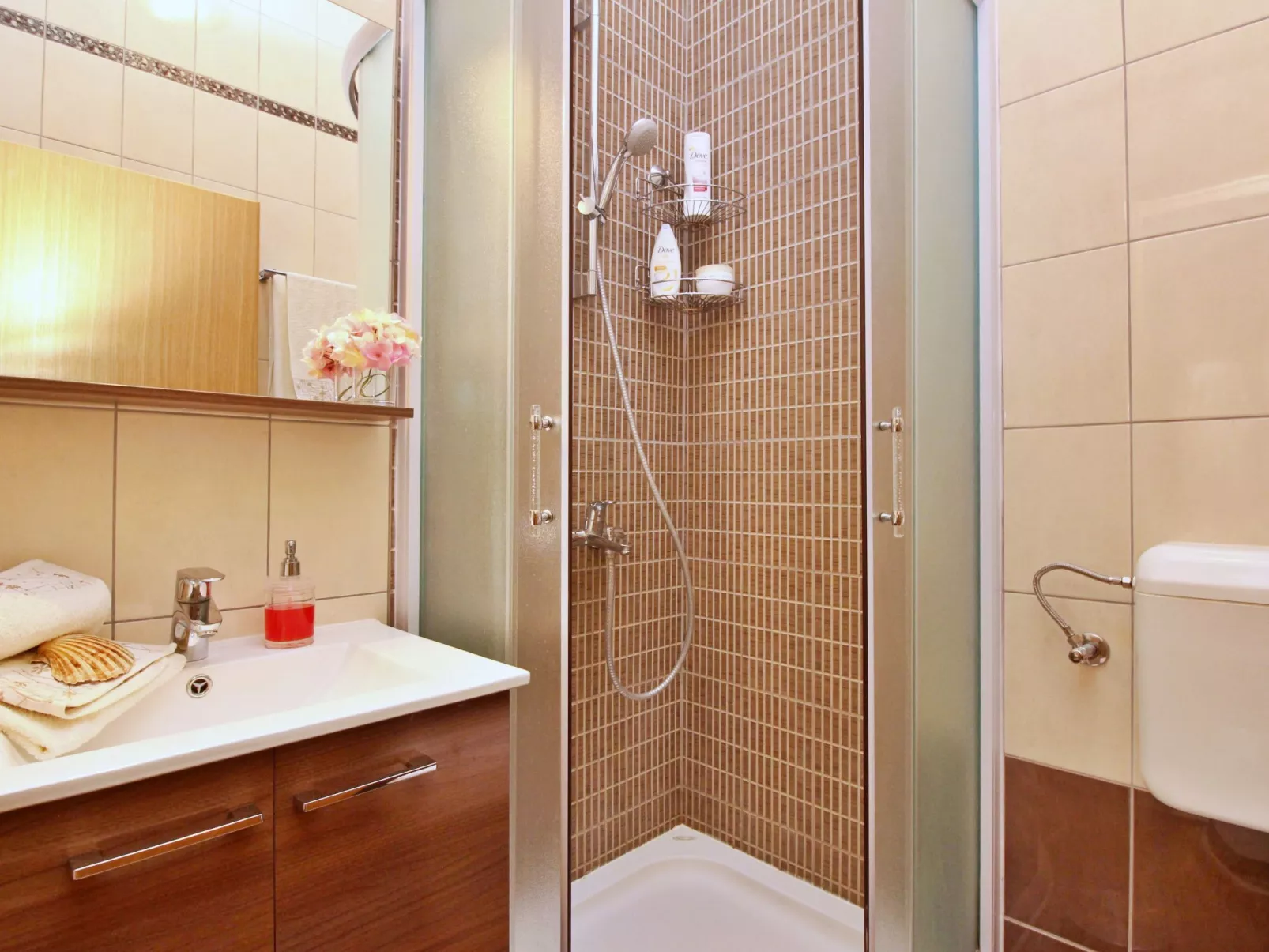 Apartment Ivanka-Inside