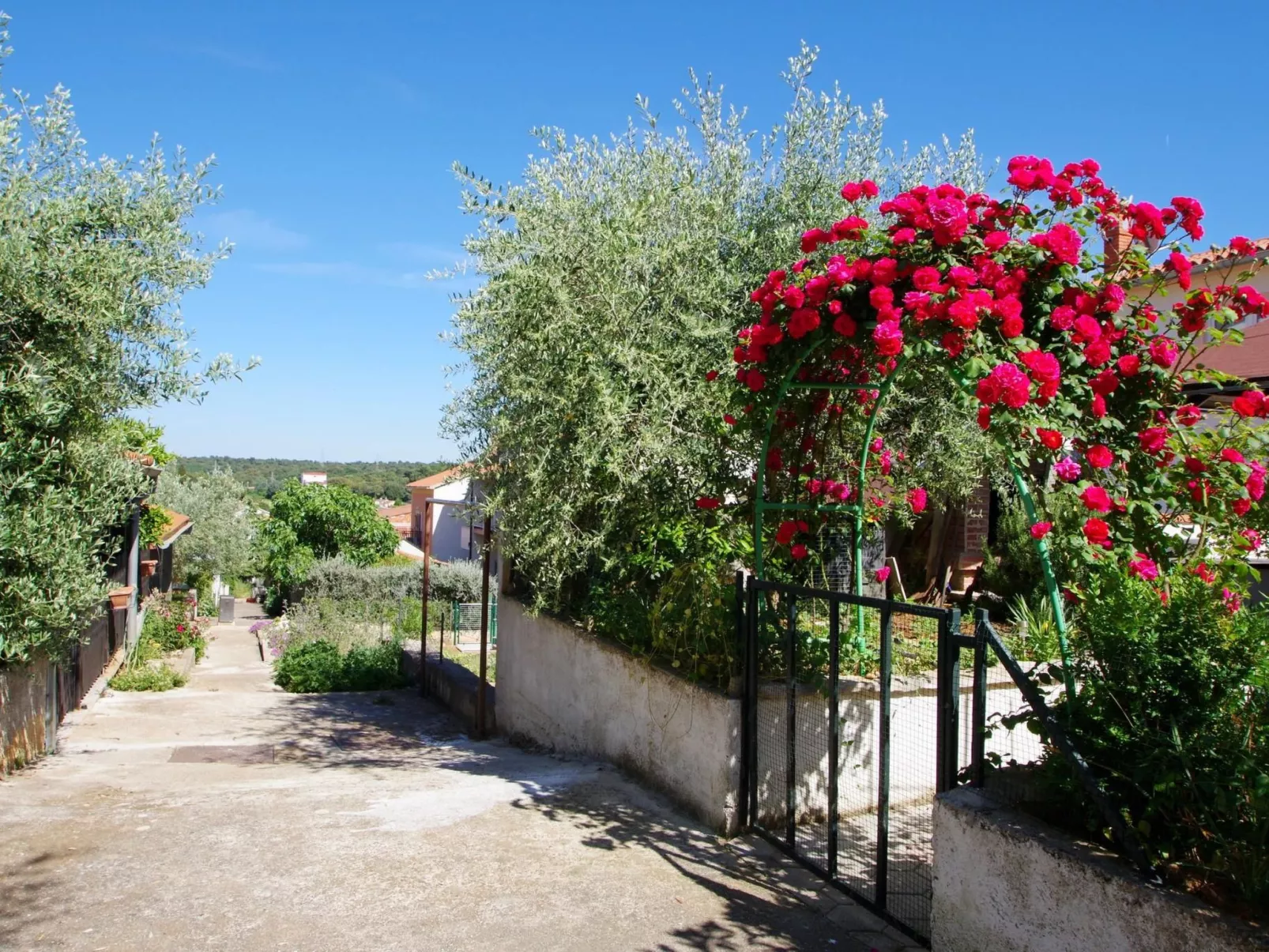 "Rose" mit Terrasse-Dehors