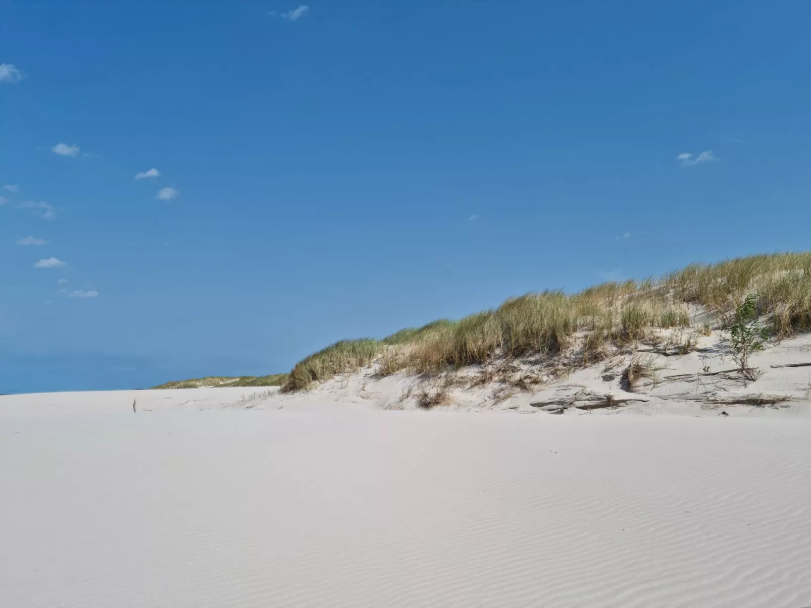 Lublewo21 Ferienhäuser - Draußen