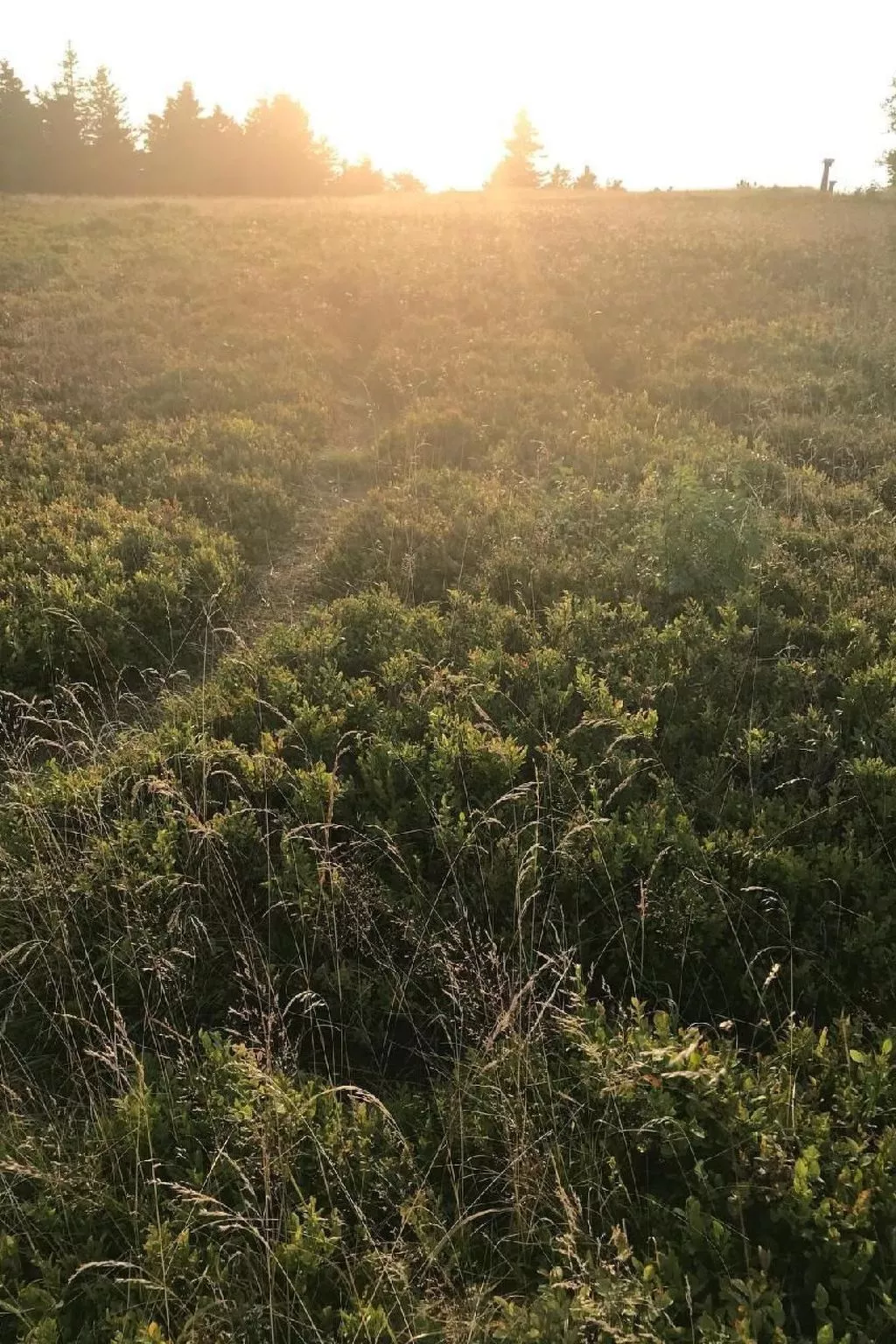 Berg- und Seeblick am Hillebachsee-Draußen