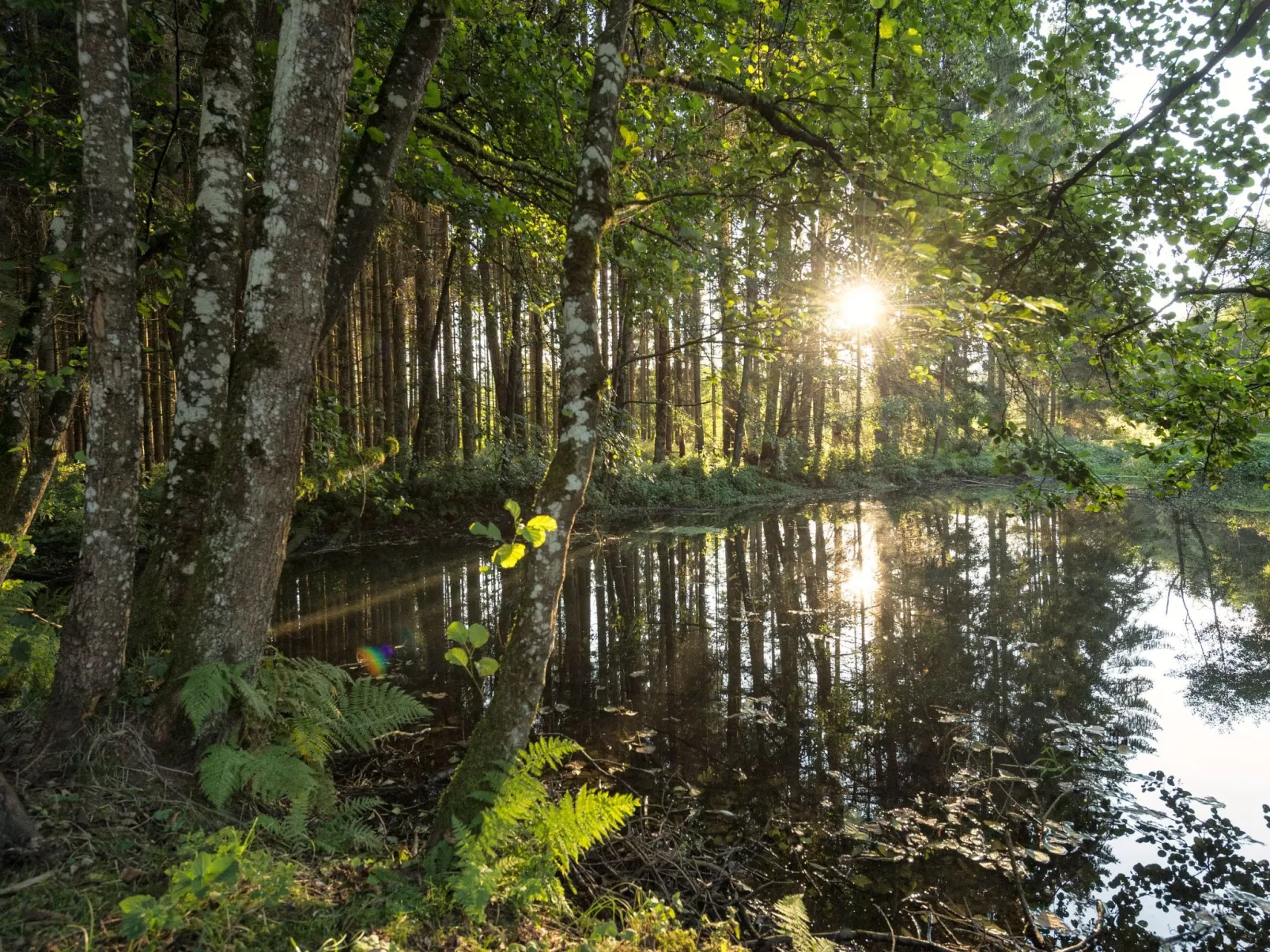 EXKLUSIVE FERIENWOHNUNG MIT EIGENER SAUNA-Draußen