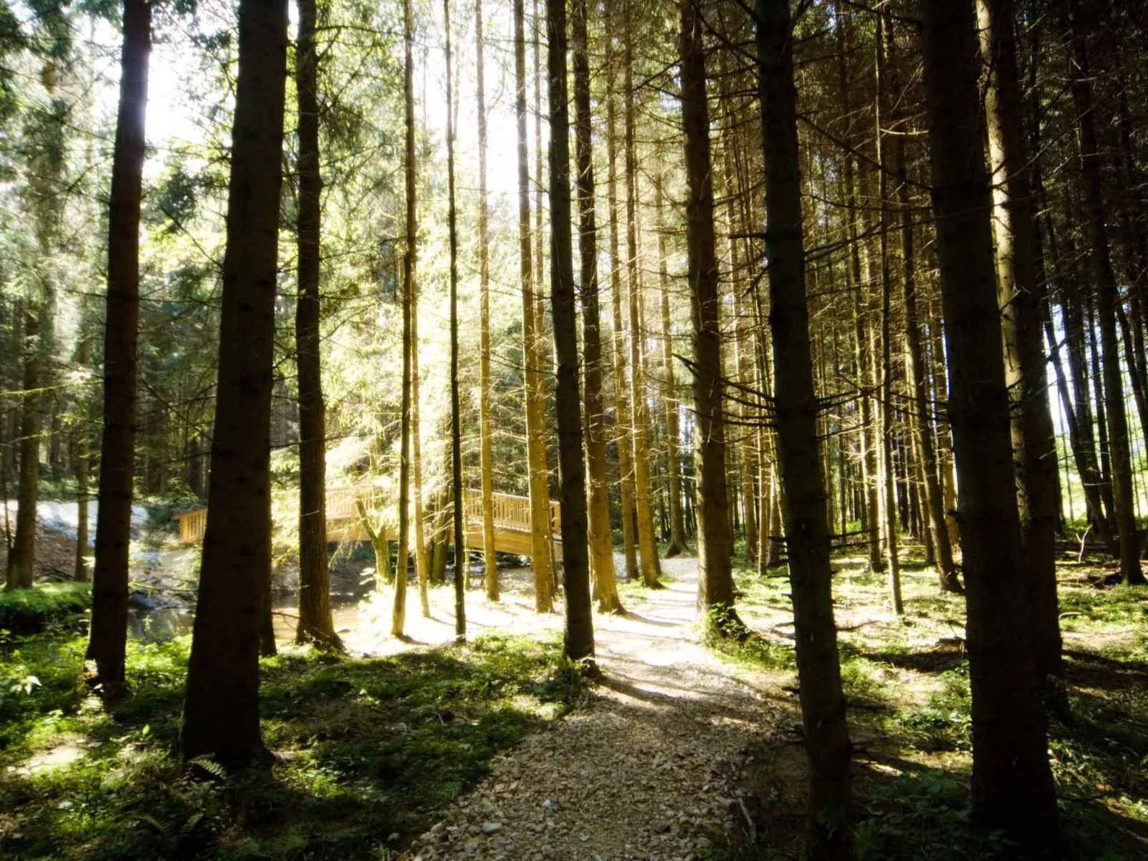 Exklusive Ferienwohnung mit eigener Sauna-Draußen