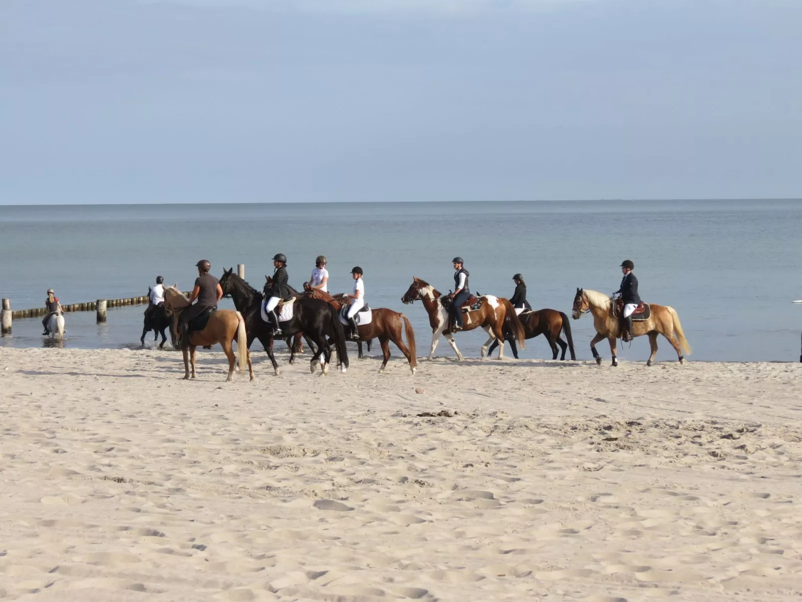 U2 Schlehenkoppel 5-Dehors