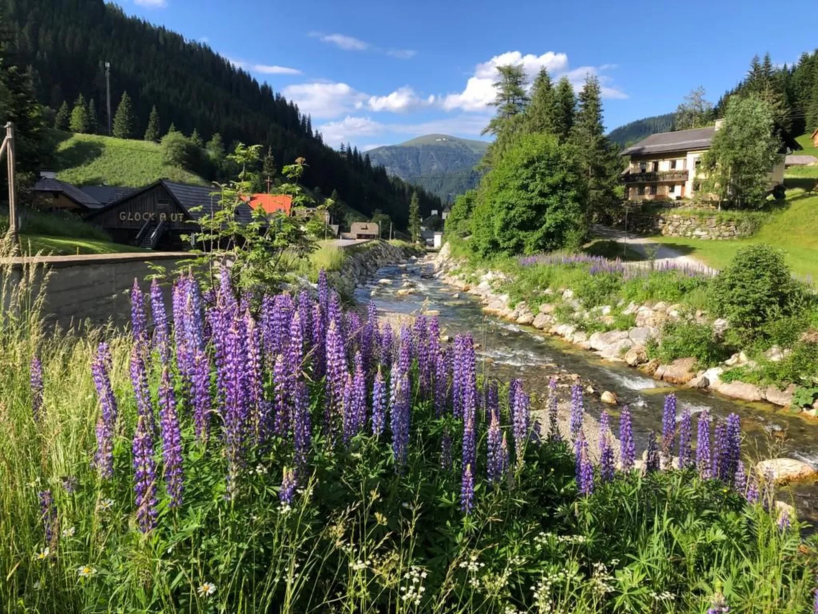 Berghof Turrach-Outside