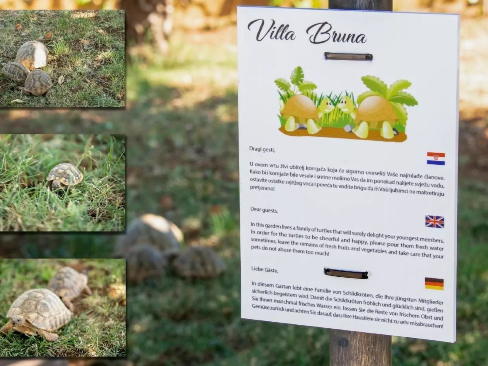 Villa "Bruna" mit privatem Pool-Outside