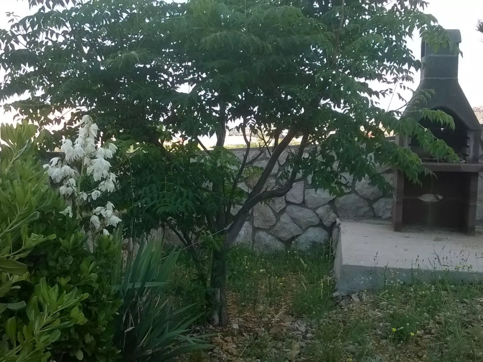 Mit Blick auf das Wasser-Dehors