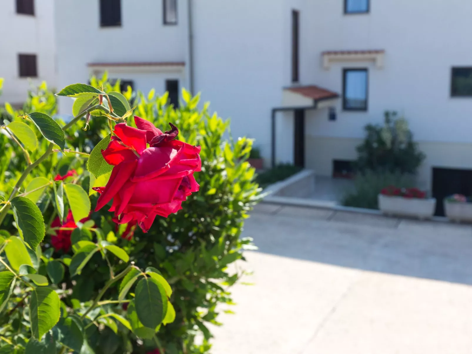 Apartmenthaus „Sean“ mit Parkplatz, Olivenhain-Image-tags.info