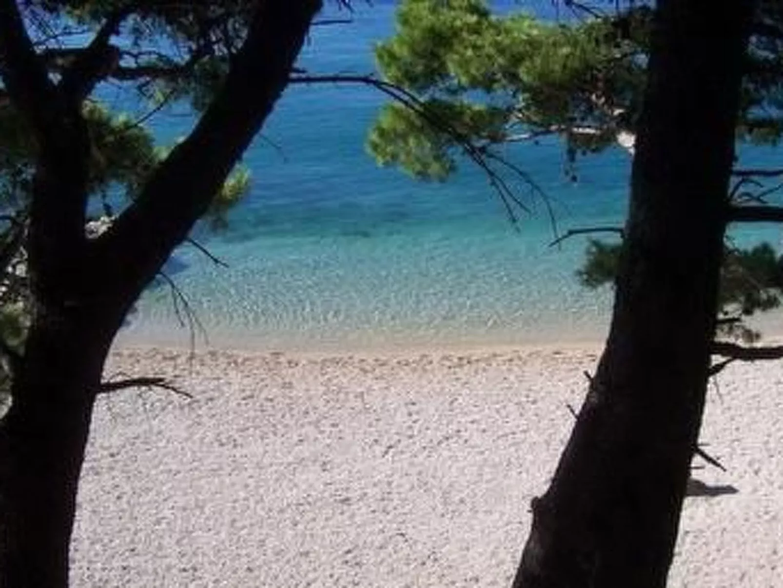 Villa Dusanka-Image-tags.info