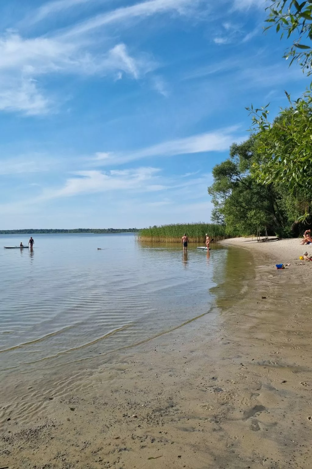 Lublewo21 Ferienhäuser - Draußen