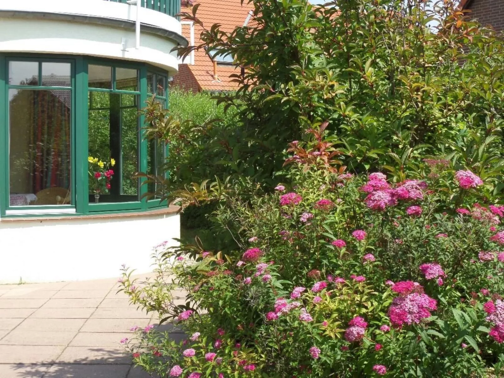 Schwalbennest-Image-tags.info