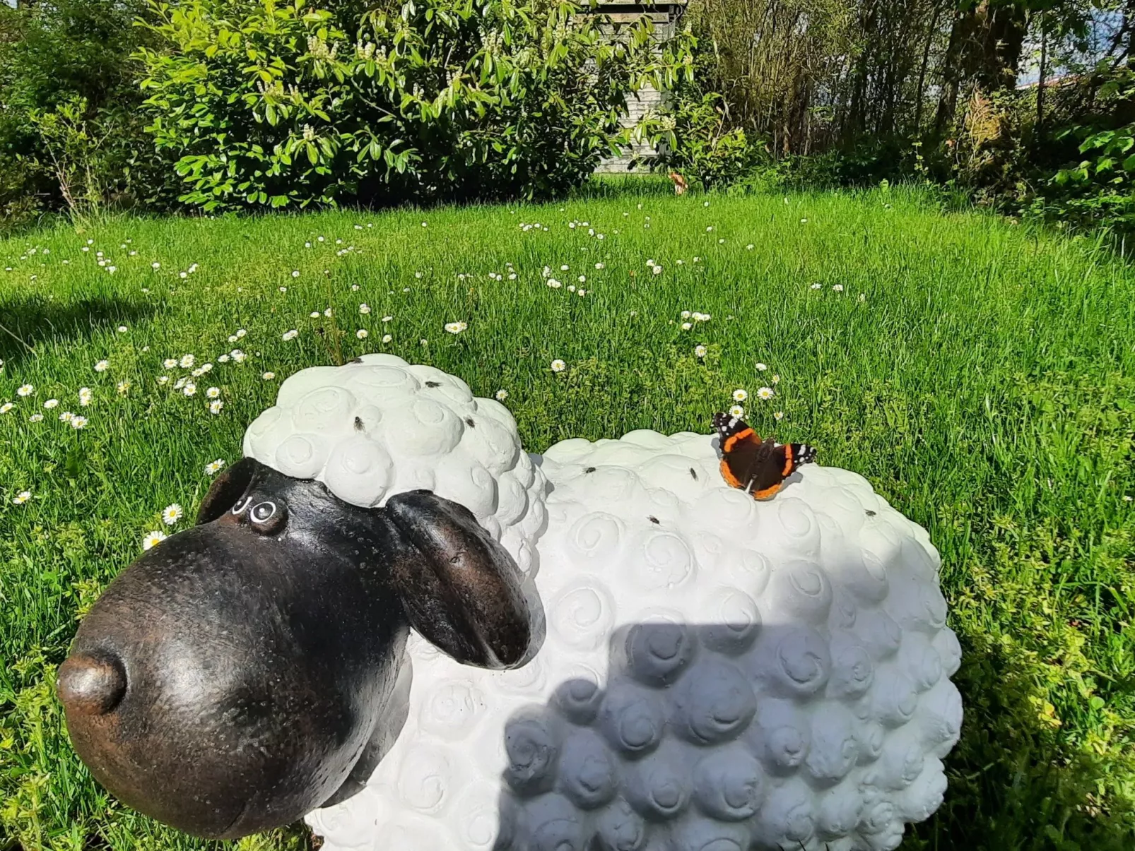 Gartenblick in Vöhl-Basdorf-Dehors