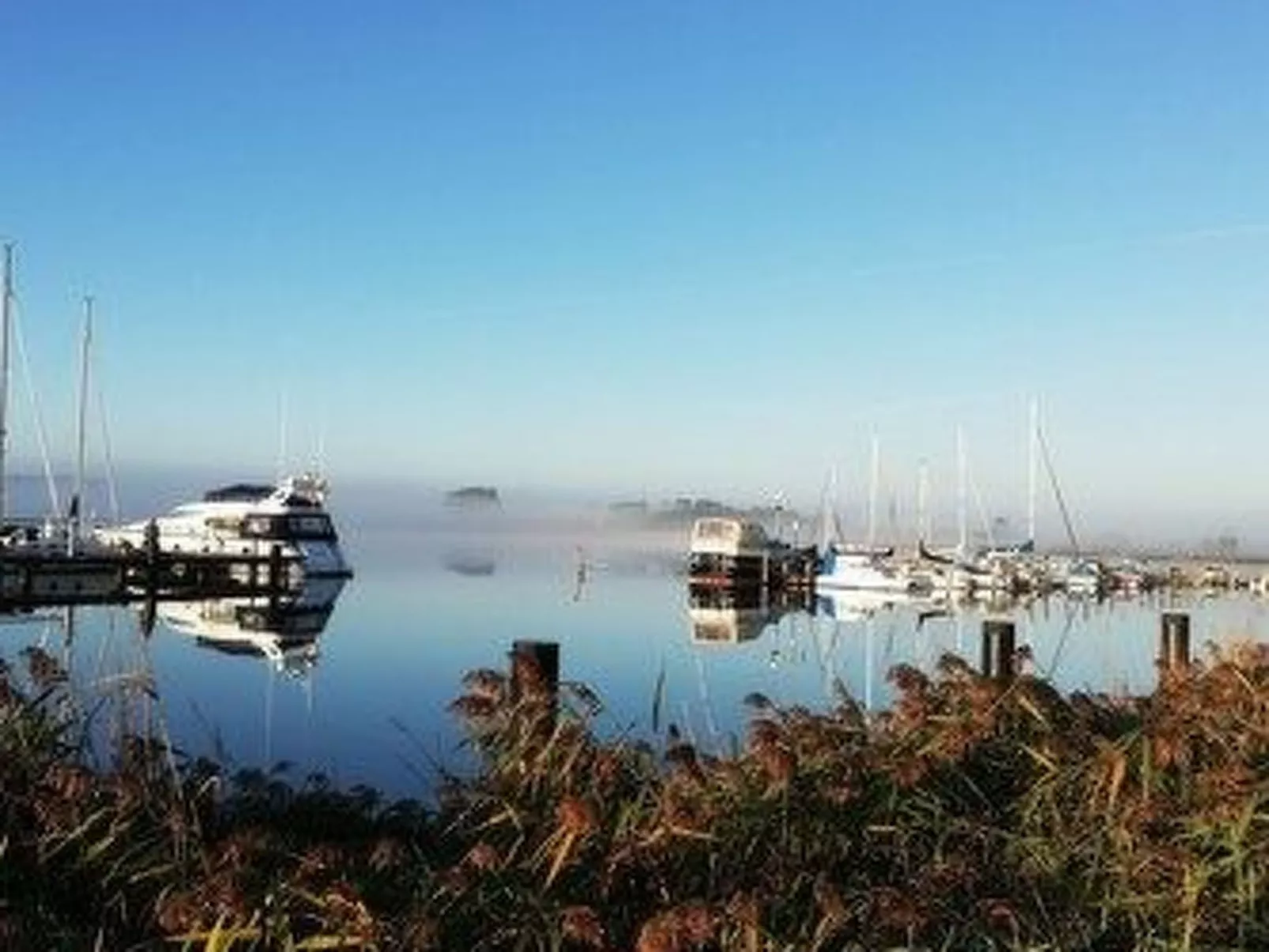 Mit Balkon in Sellin-Image-tags.info