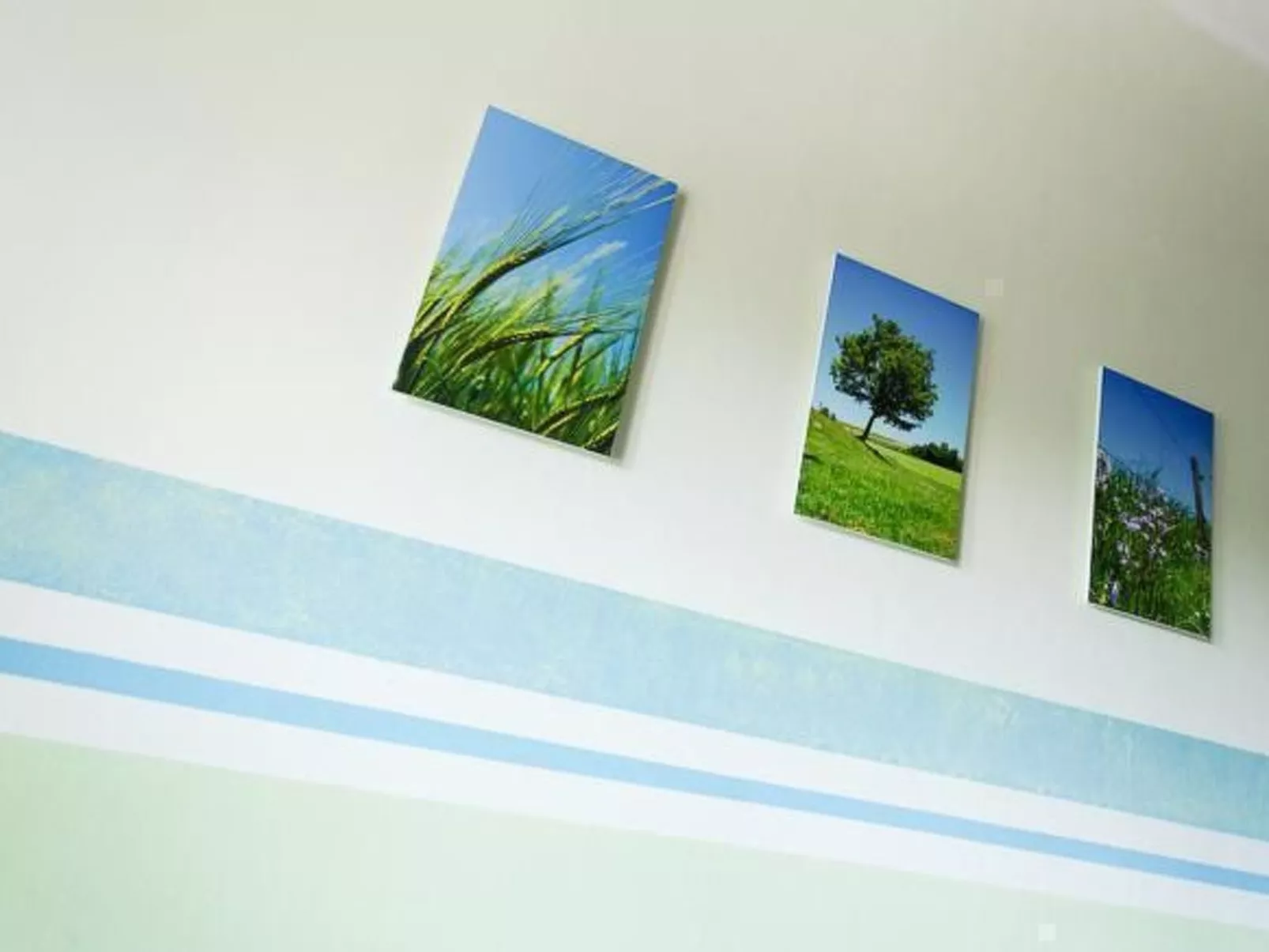 Am Rückerlhof-Katrin-Drinnen