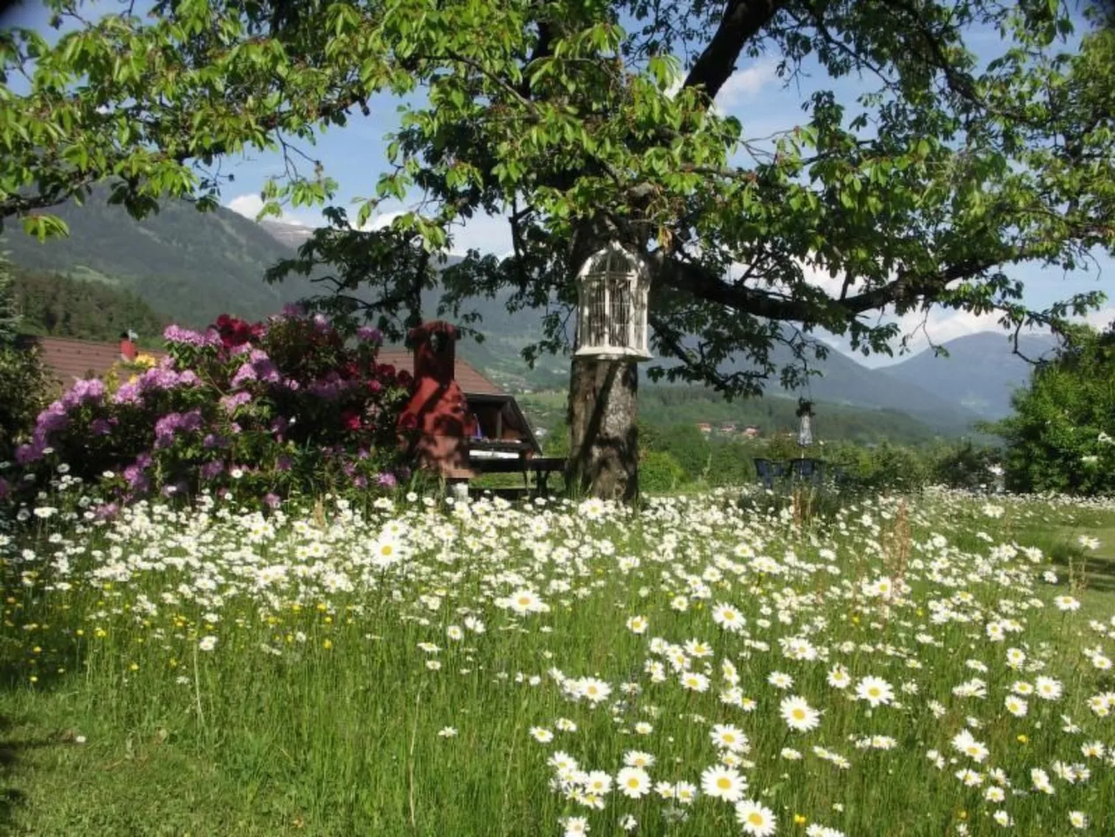 Nette Wohnung in Seeboden mit Großem Garten - Image-tags.info