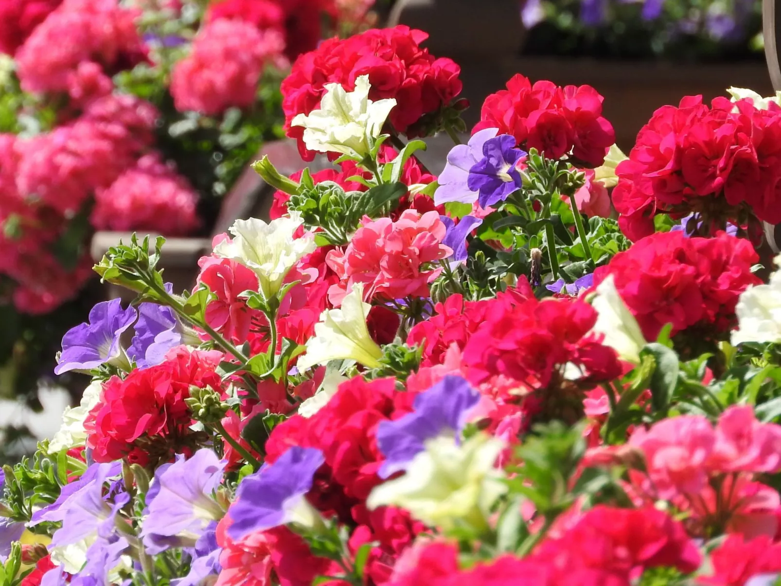 Appartement in Wildschönau-Niederau-Outside